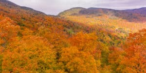 Fall Foliage from the Mad River Glen Ski Area in Vermont.